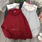 Winter Casual Loose Pullover Hoodies